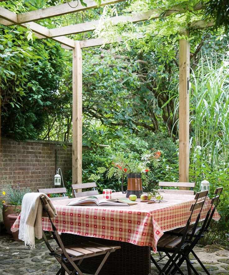 Outdoor setting with climbing plants creating a natural canopy
