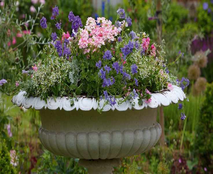 Mastering the Art of Container Gardening: Thrillers, Fillers, and Spillers