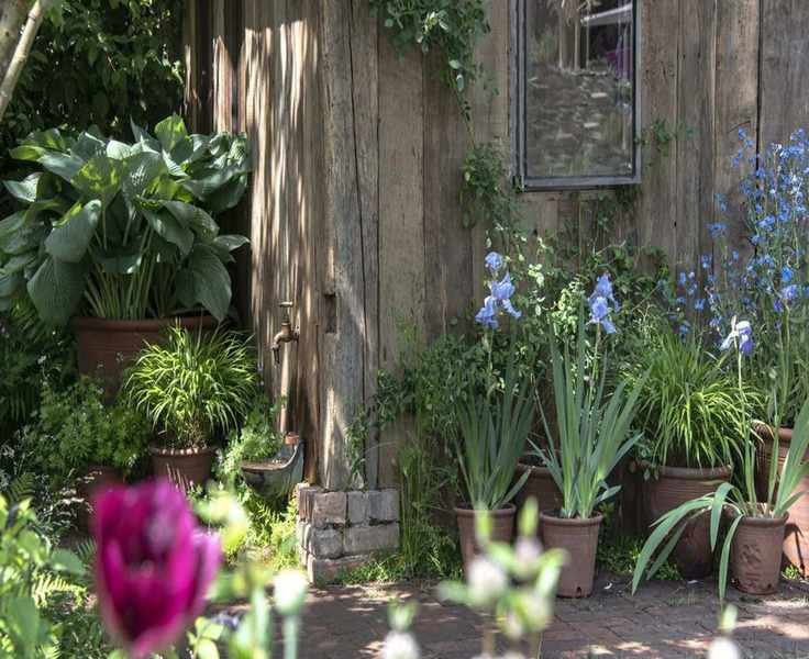 Garden Design Strategies to Minimize Pollen Exposure and Allergies