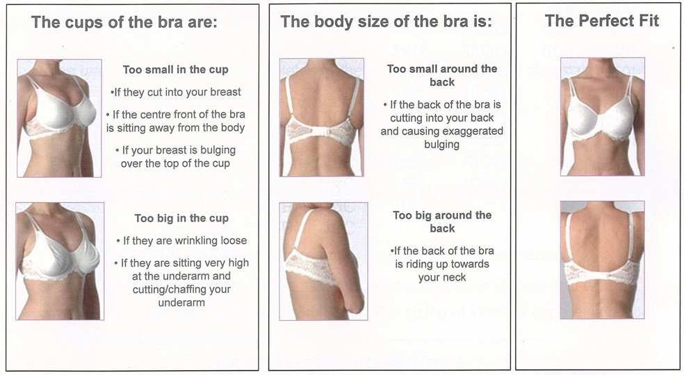 Discover the Benefits of a Professional Bra Fitting Nearby
