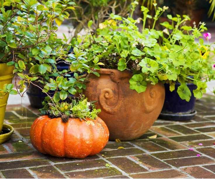Fall pumpkin planter