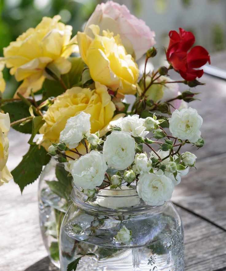 Two large mason jars filled with water and hand-tied bouquets of white, yellow and red roses