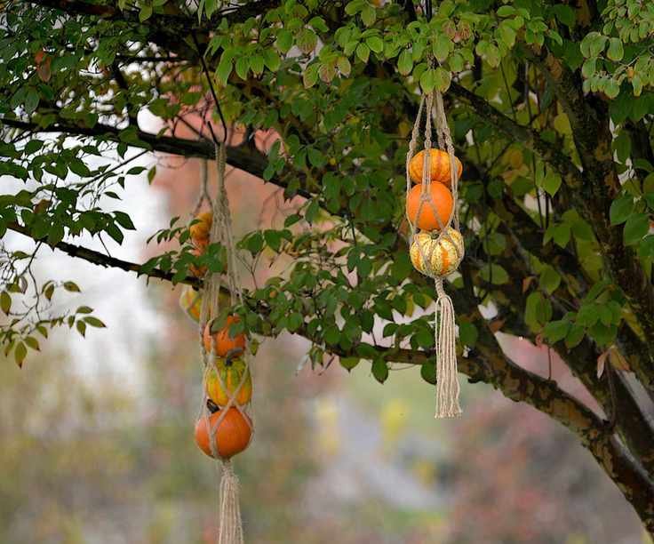 Fall outdoor decoration