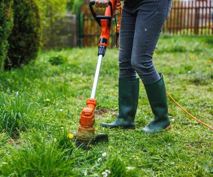 A lawn trimmer cutting long grass and dandelions