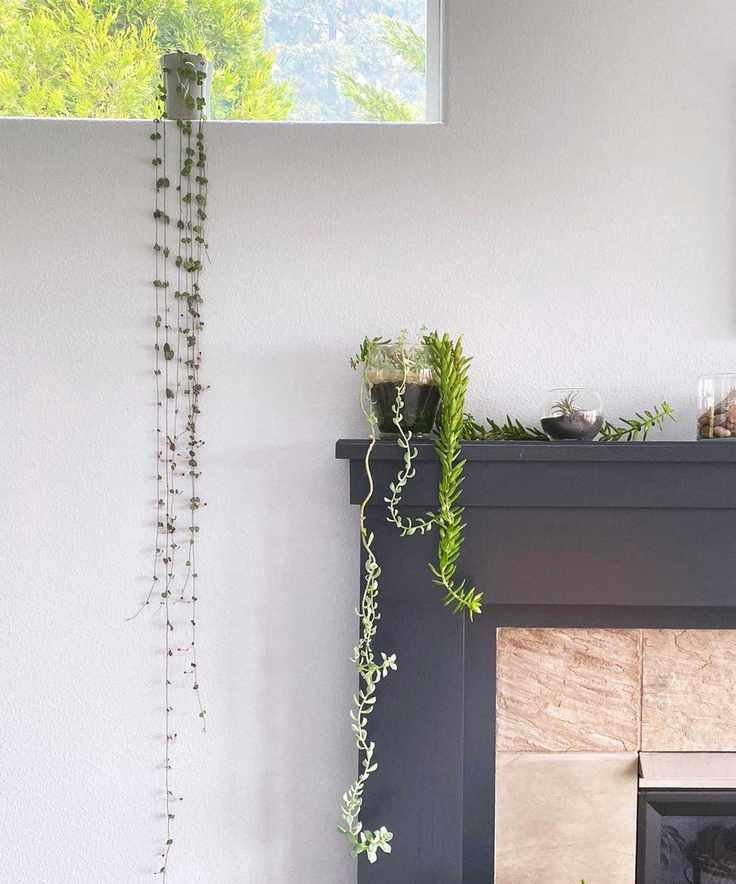 string of hearts on window ledge