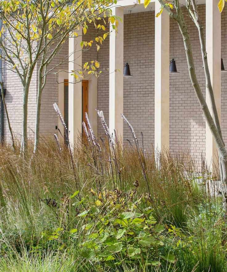 courtyard garden with prairie planting