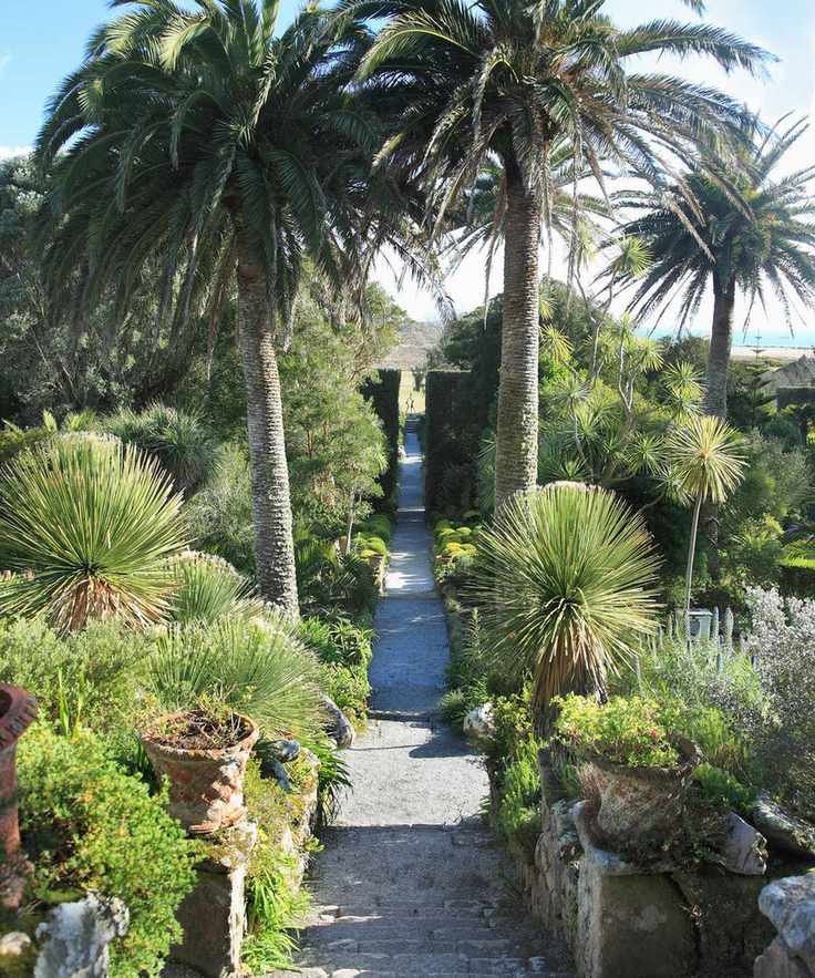 Sloping garden ideas