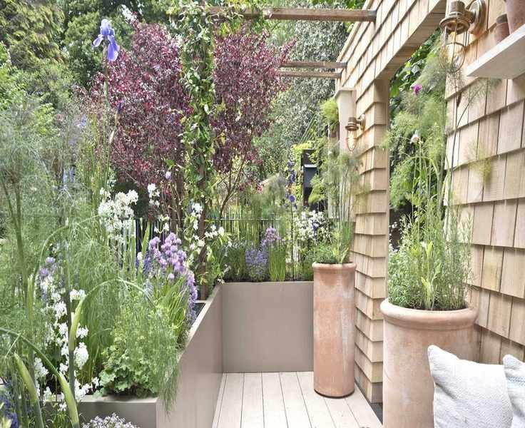 Bright Flowers for Pots: My Top Picks to Plant This May