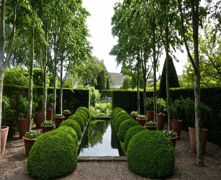 Landscaping with Evergreens: 9 Creative Ways to Enhance Your Garden