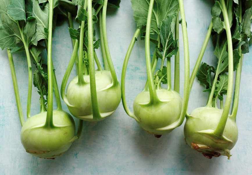 Growing Kohlrabi: A Guide to This Unique Turnip Cabbage