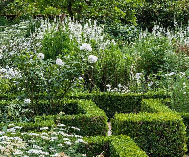 Sissinghurst Castle, Kent, UK. Parterres in the White Garden in summer