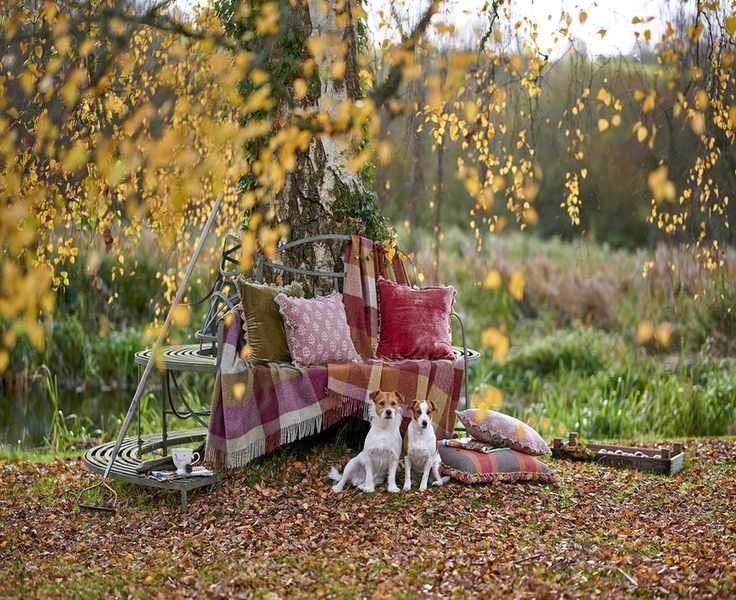 10 Creative Landscaping Ideas for Trees in Your Garden