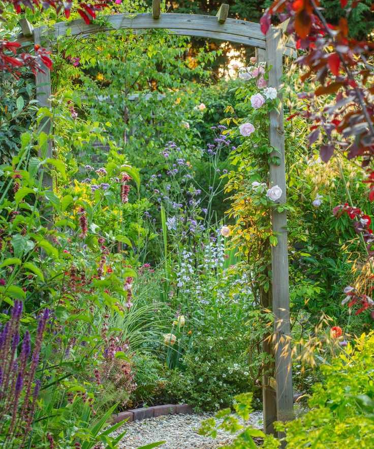 garden arbour among dense planting