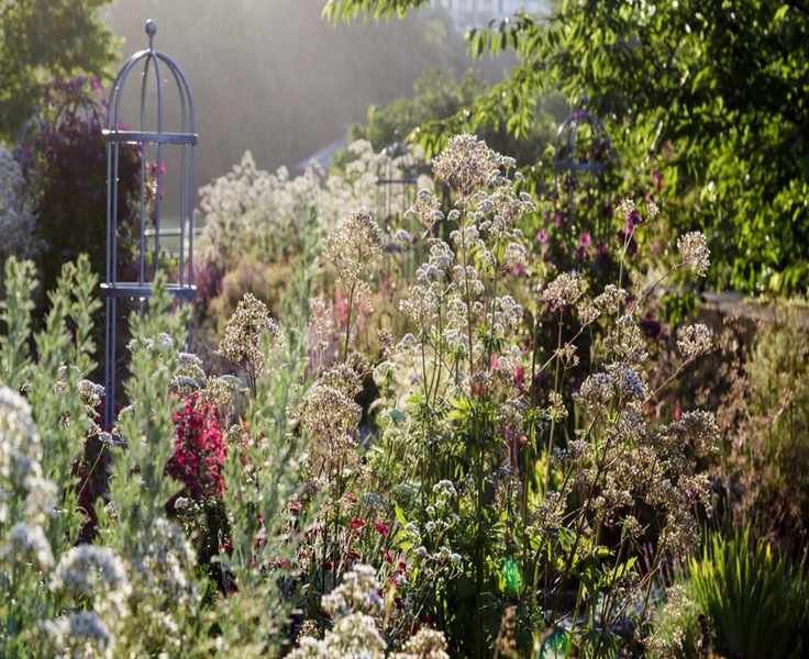 Charming $9 Trellis Perfect for Small Spaces and Climbing Plants