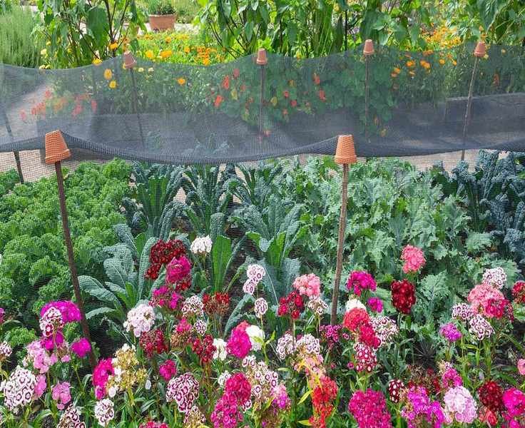 Choosing the Right Garden Netting to Protect Your Crops and Wildlife