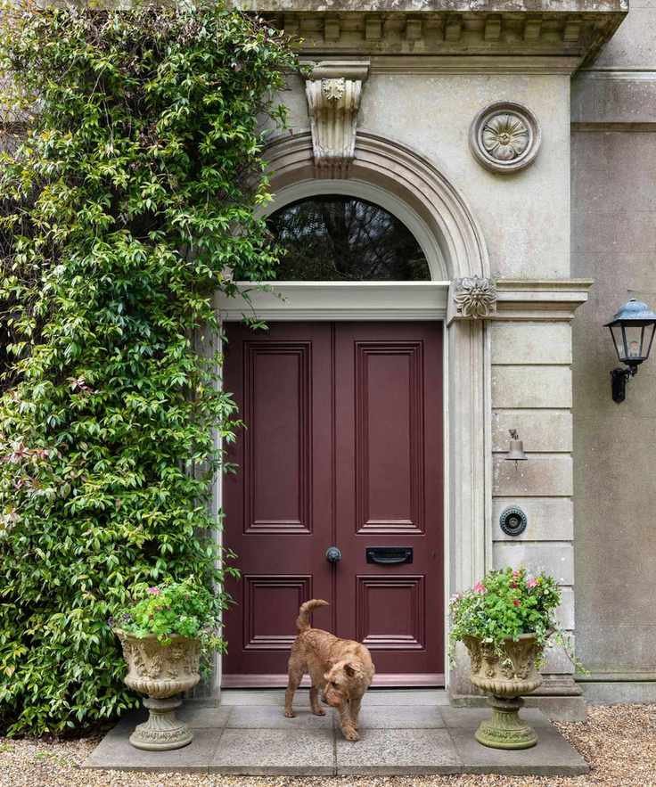 Front door painted in Soumak by Paper &amp; Paint Library