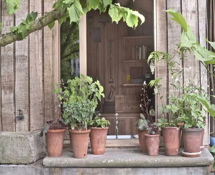 Refresh Container Soil for Summer to Keep Plants Thriving