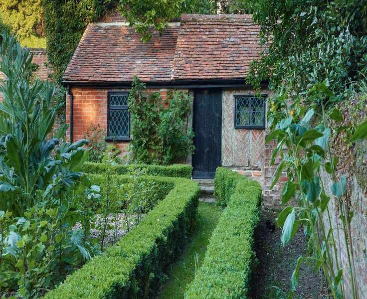 Stunning Evergreen Plants: 10 Gorgeous Selections for Year-Round Beauty