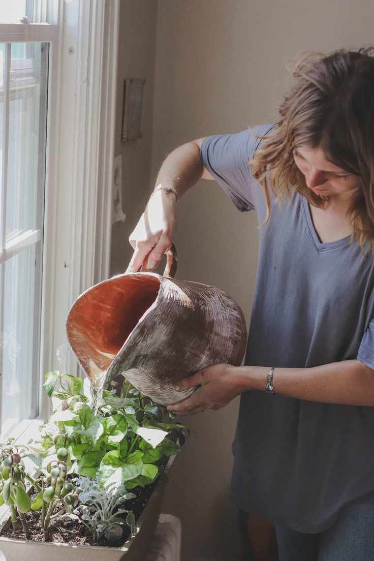 herb garden ideas herbs in windowbox cassidy-phillips unsplash