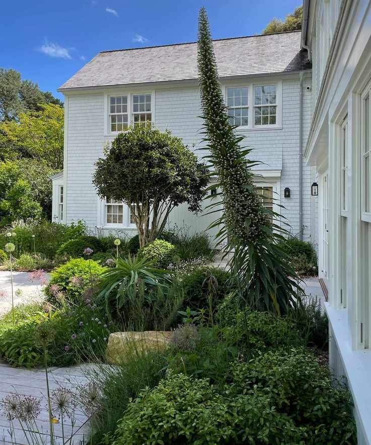 a mix of evergreen shrubs and plants in different forms and shapes beside a clapperboard house
