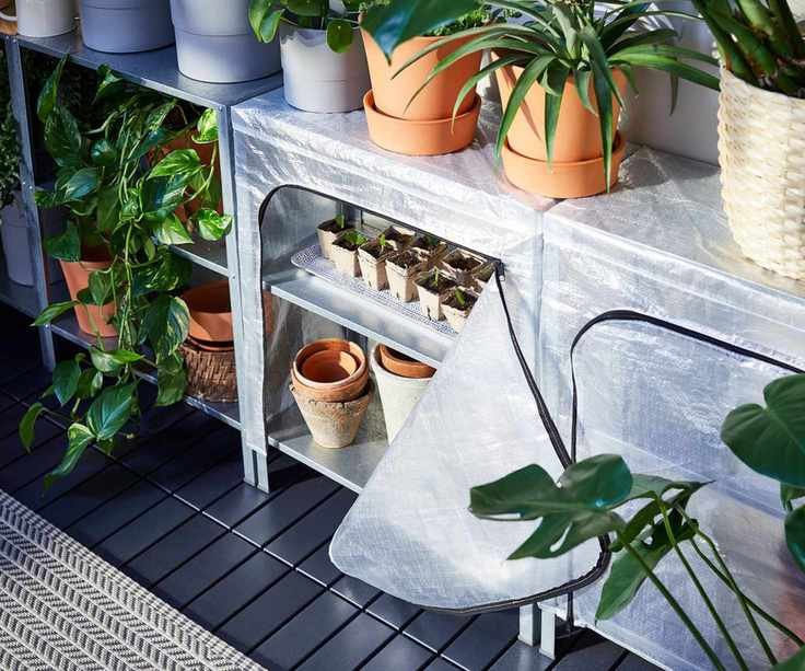 outdoor shelving unit with plastic cover used as a mini greenhouse