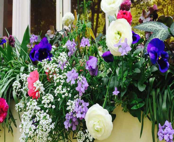 Spring Window Box Inspirations – 8 Ideas for a Vibrant Outdoor Touch