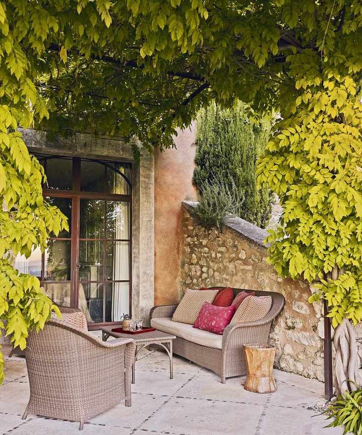 Patio with armchair and sofa and pergola above with vine