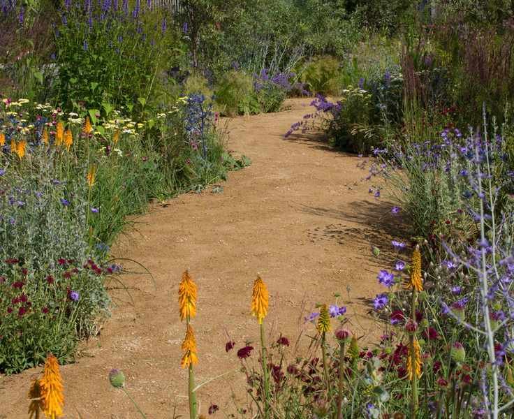 Curving gravel garden path between planting