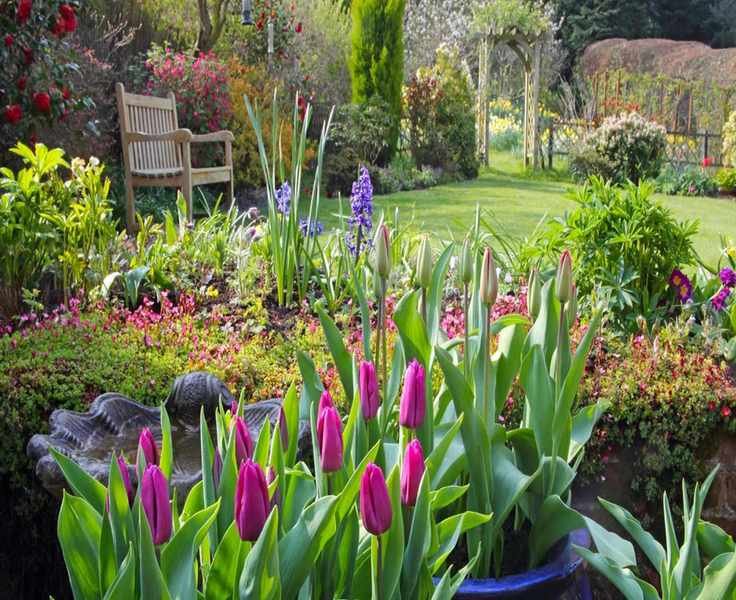 Planting a Garden for Pollinators in 10 Simple Steps