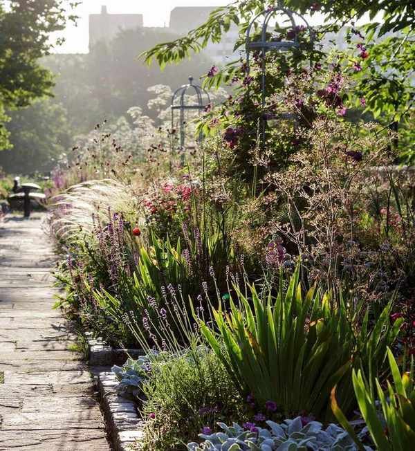 A raised bed full of plants and flowers in the sun.