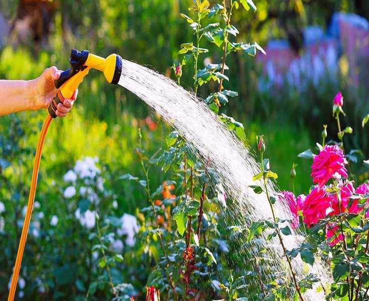 Say Goodbye to Tangled Hosepipes with This Chic Yard Solution