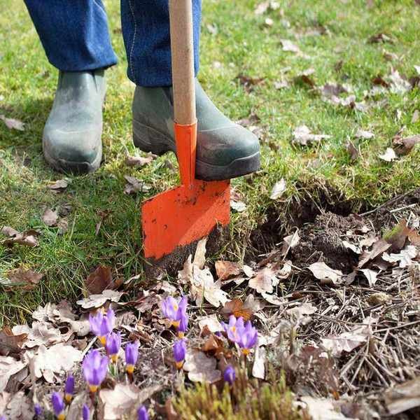 edging a flower bed with a spade