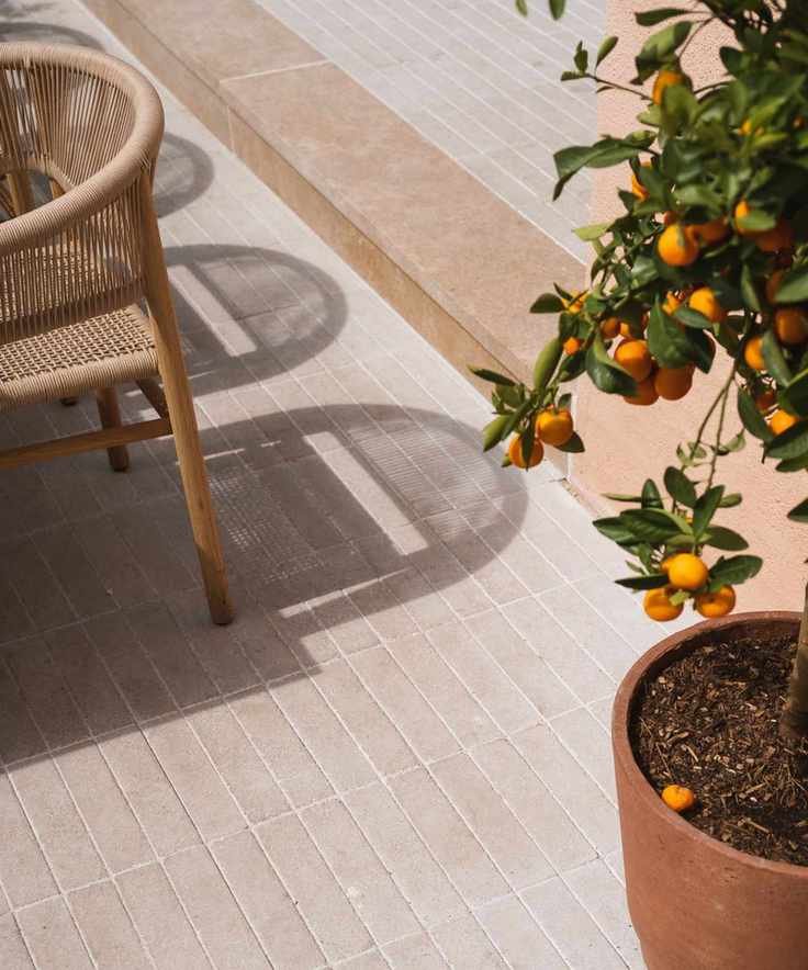 Orange tree on patio