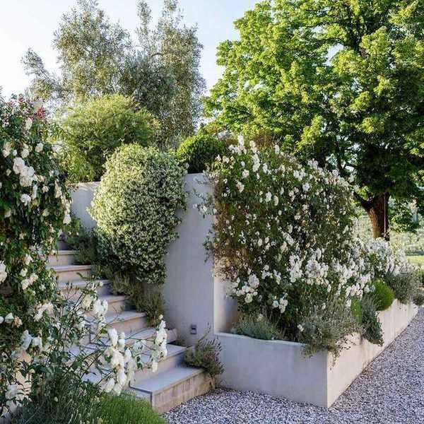 Gravel garden featuring raised beds