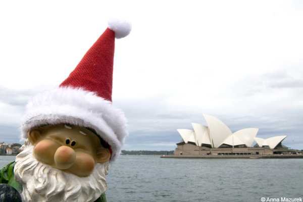 Traveling Gnome, Sydney, Australia