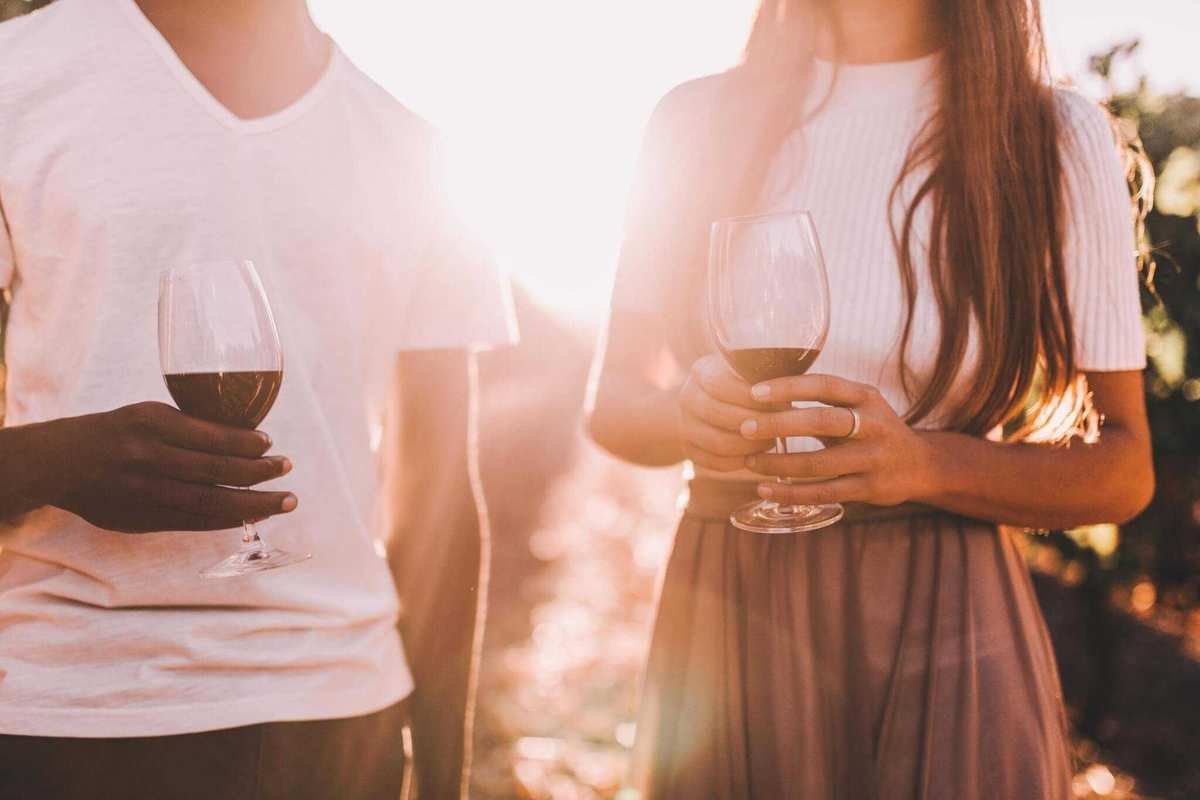 Essential Insights Before Launching Your Own Wine Shop