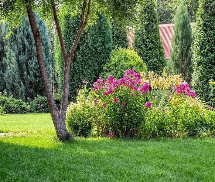 Protecting Your Lawn During a Heatwave: Essential Tips and Mistakes to Avoid