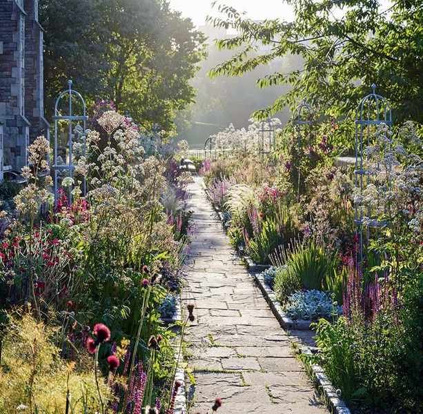 Transform Your Garden into a Stunning Outdoor Oasis
