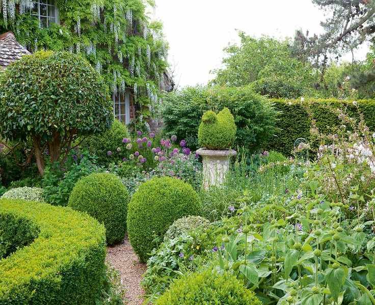 Topiary in front garden