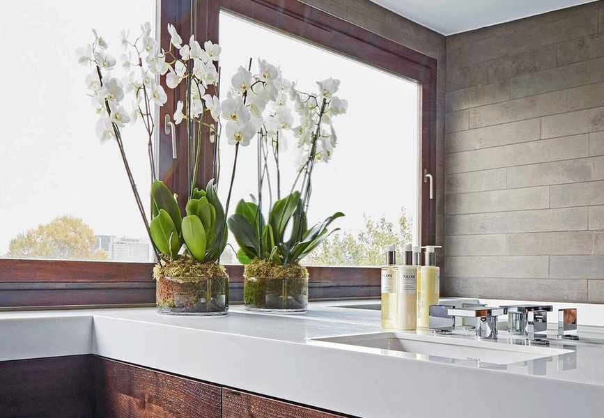 Orchid Feng Shui: How to Use This Flower for Calm & Good Fortune