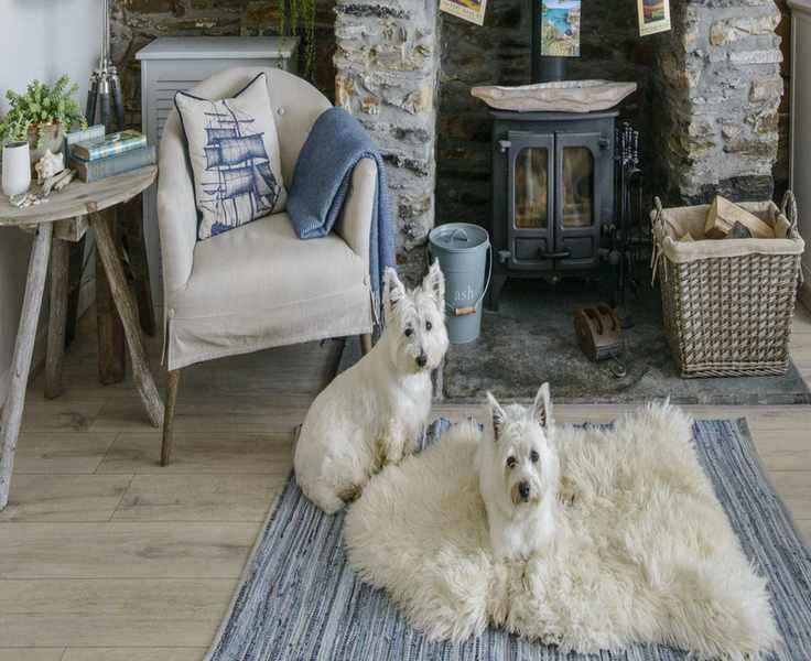 10 Essential Etiquette Tips for Living Harmoniously with Pets