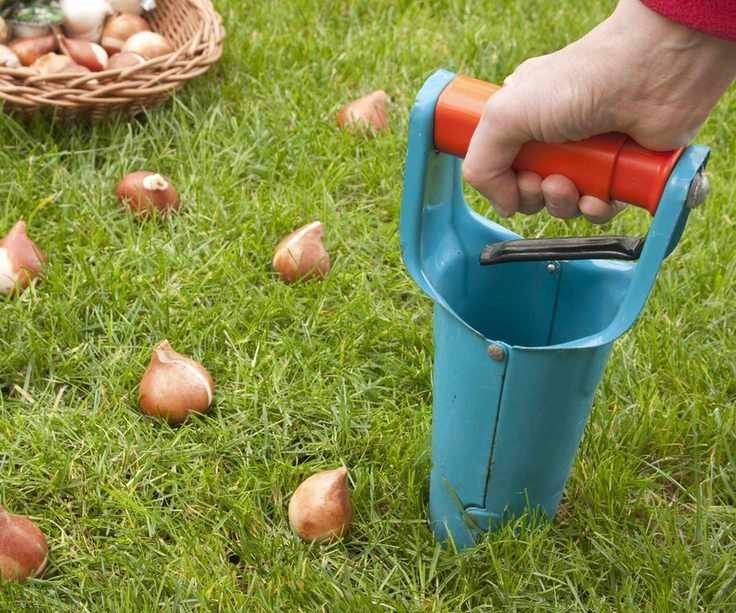 Bulb planter