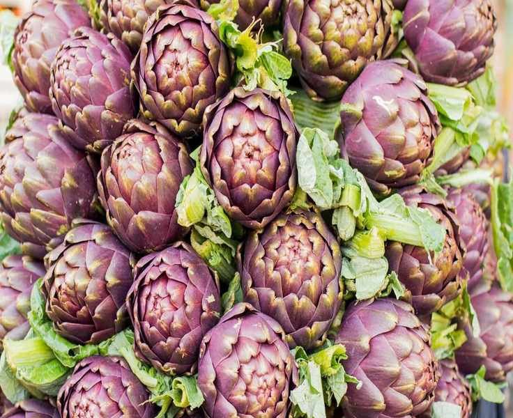 Artichoke Season: When to Enjoy This Delicious Vegetable