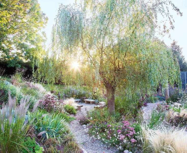 Designing Your Mediterranean Garden: Planting and Landscaping Tips