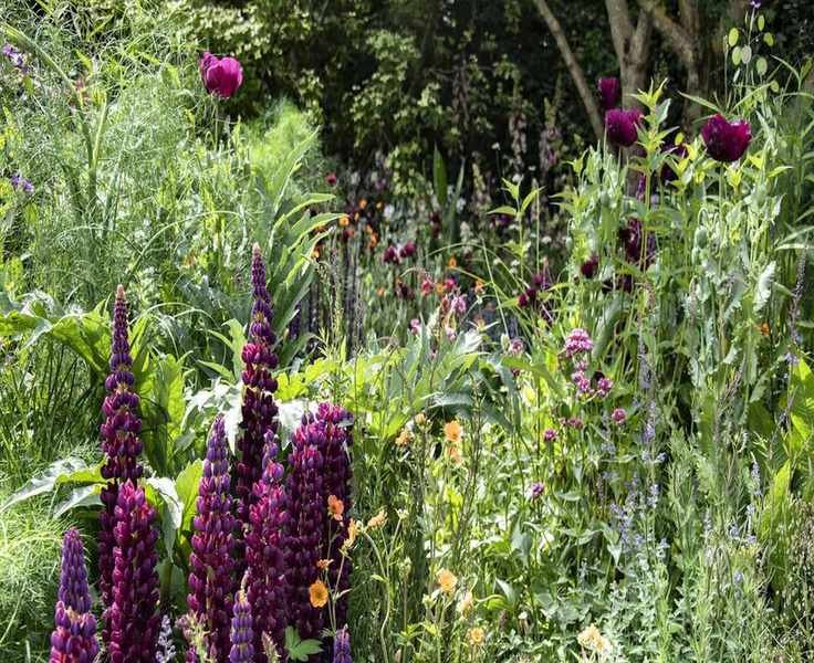 Spring 2026 Weather Predictions: Prepare Your Garden for Dry Conditions