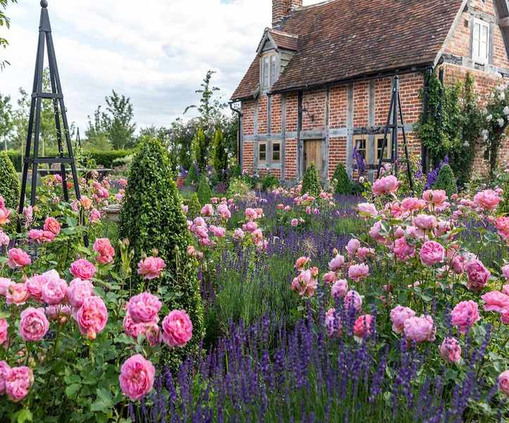 Inspiring Rose Garden Ideas for a Vibrant Outdoor Space