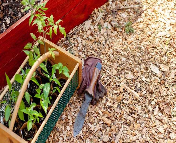 Transform Your Weeding Routine with a Hori Hori Knife: A Gardener's Must-Have