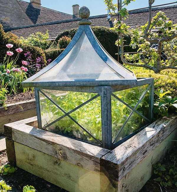 traditional cloche on a raised bed in a vegetable garden
