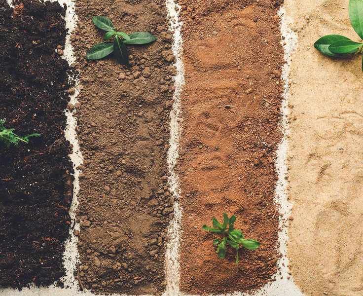 soil types