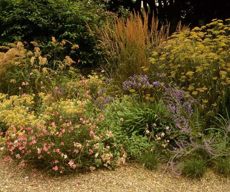 prairie garden border